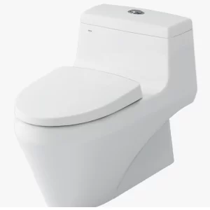 Bồn Cầu INAX AC-1035VN 1 Khối