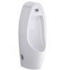 bồn tiểu cotto C31237DC