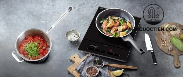 bếp từ đơn EUROSUN EU-T199