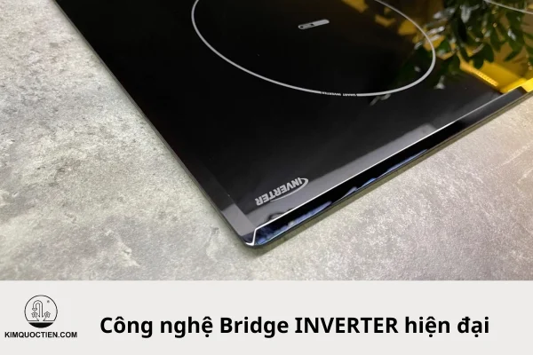 bếp từ eurosun eu t256 max