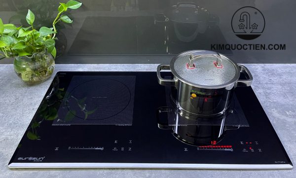 bếp từ EUROSUN EU-T726pro 2 vùng nấu