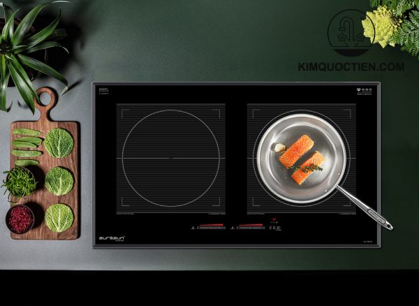 Bếp từ Eurosun EU-T897G 2 vùng nấu