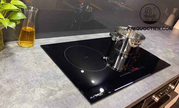 Bếp từ đôi EUROSUN EU-T898G