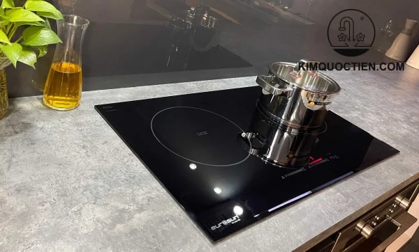 Bếp từ đôi EUROSUN EU-T898G