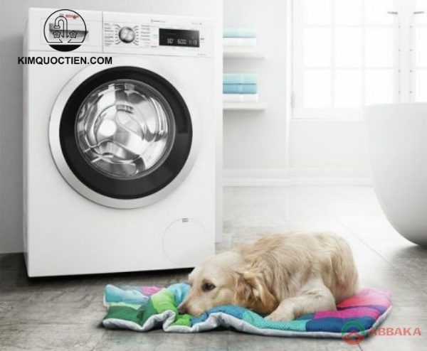 Máy Giặt BOSCH WAT28482SG Series 6 