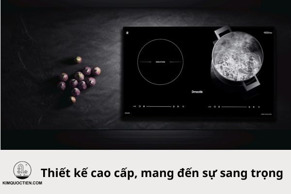 bếp từ dmestik 921