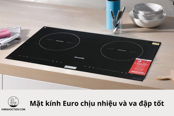 bếp từ dmestik 921