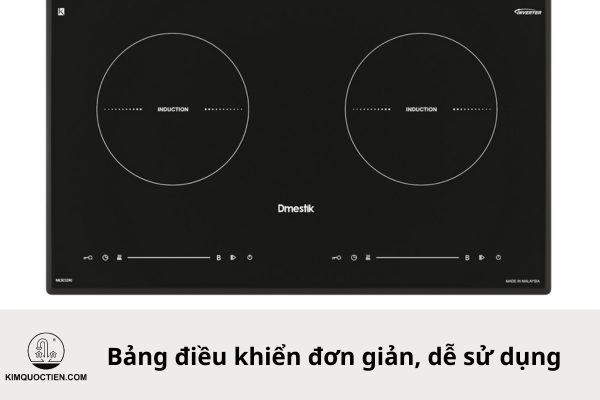 bếp từ dmestik 921