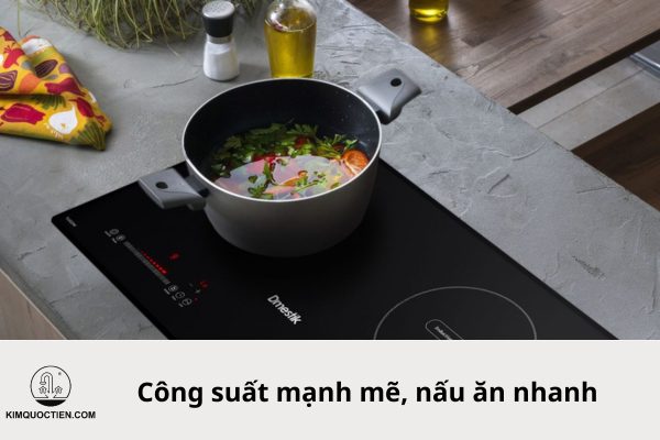 bếp từ dmestik 921