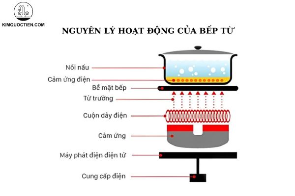 Cấu tạo và nguyên lý hoạt động của bếp từ