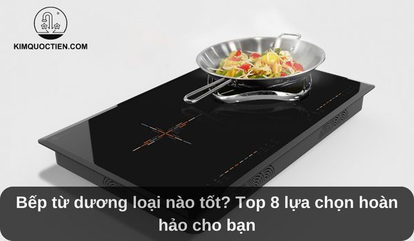 bếp từ dương loại nào tốt