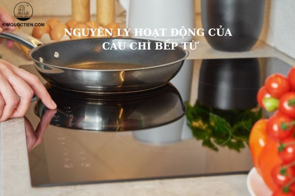 bếp từ nổ cầu chì