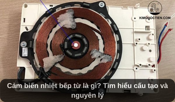 cảm biến nhiệt bếp từ