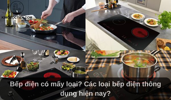 Bếp điện có mấy loại