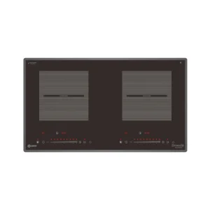 BẾP TỪ D'MESTIK ML929 DKI