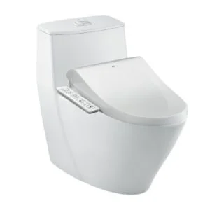 Bồn cầu một khối INAX AC-919R+CW-H17VN