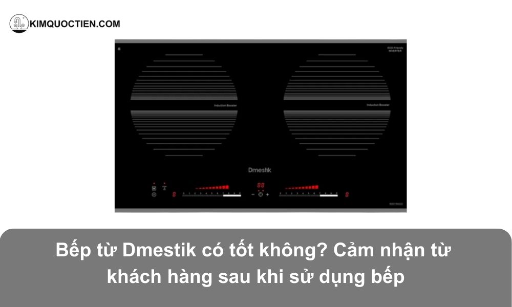 Bếp từ Dmestik có tốt không