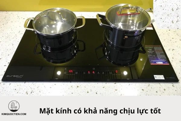 Bếp từ Eurosun EU-T256MAX