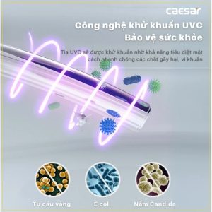 Bồn cầu 1 khối nắp điện tử Caesar C1353F/TAF610H
