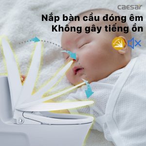 Bồn cầu 1 khối nắp điện tử Caesar C1363F/TAF710H