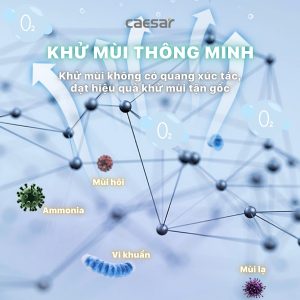 Bồn cầu 1 khối nắp điện tử Caesar C1363F/TAF710H