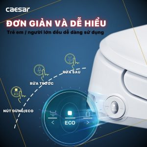 Bồn cầu 1 khối nắp điện tử Caesar C1364F/TAF710H