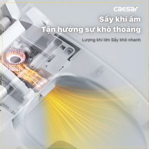 Bồn cầu 1 khối nắp điện tử Caesar C1374F/TAF710H
