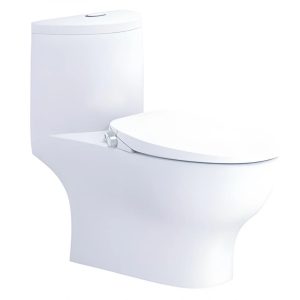 Bồn cầu 1 khối nắp rửa cơ C1375F/TAF060