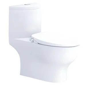 Bồn cầu 1 khối nắp rửa cơ C1375F/TAF060