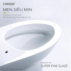 Bàn cầu một khối C1391 (CD391)