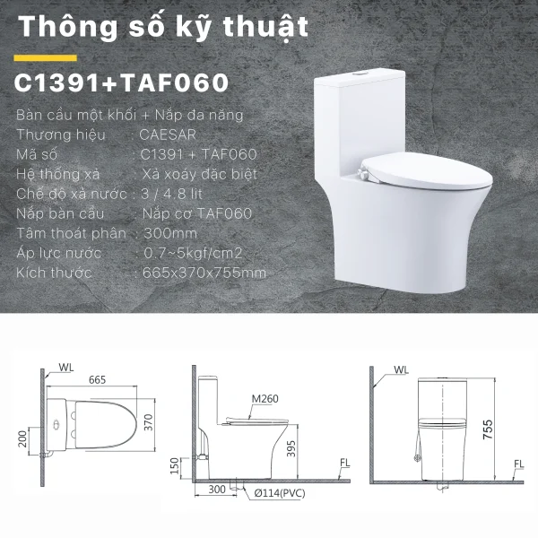 Bồn cầu 1 khối nắp rửa cơ Caesar C1391F/TAF060