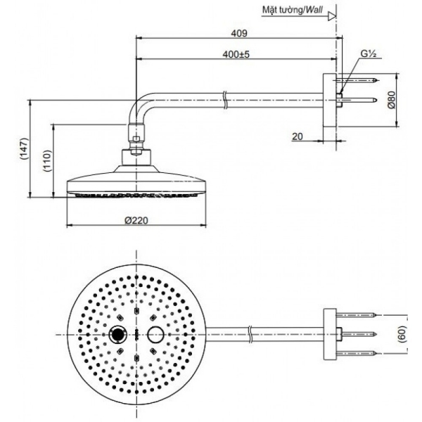 Bản vẽ kỹ thuật bát sen TOTO TBW01004A#BFG gắn tường màu vàng mờ