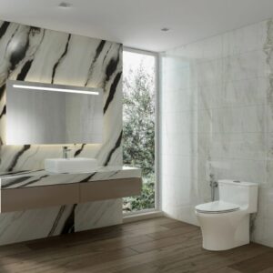 Bàn cầu một khối HL2 + Xịt VG826 + VG853 thiết kế thời thượng