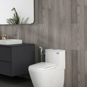 Bàn cầu một khối V816 + VG826 + VG853 thiết kế hiện đại