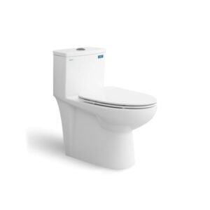 Bàn cầu một khối V819 + Xịt VG826