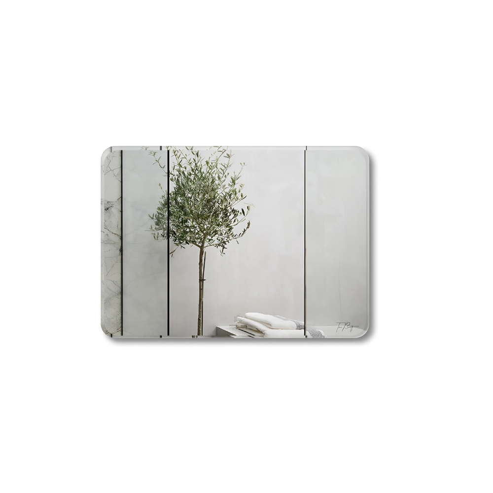 Gương trơn GLS VS00R61 (800x600)