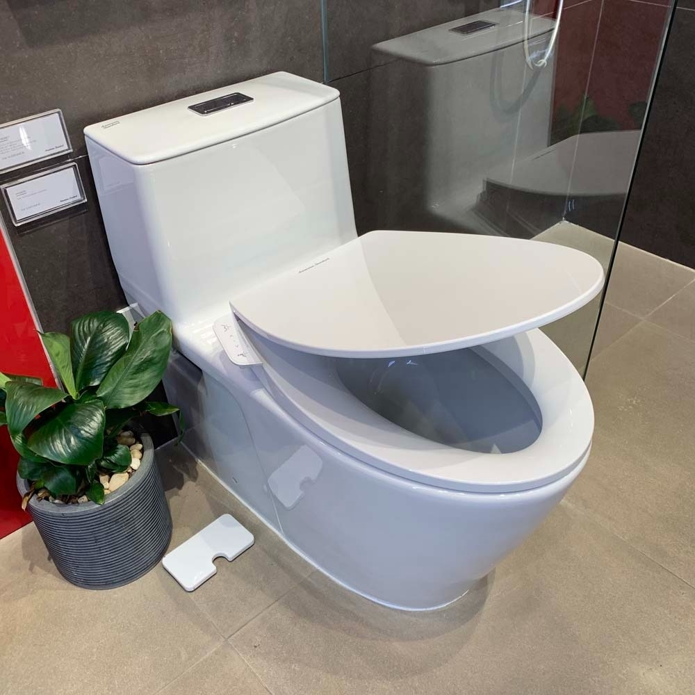 Bồn cầu rửa cơ American Standard