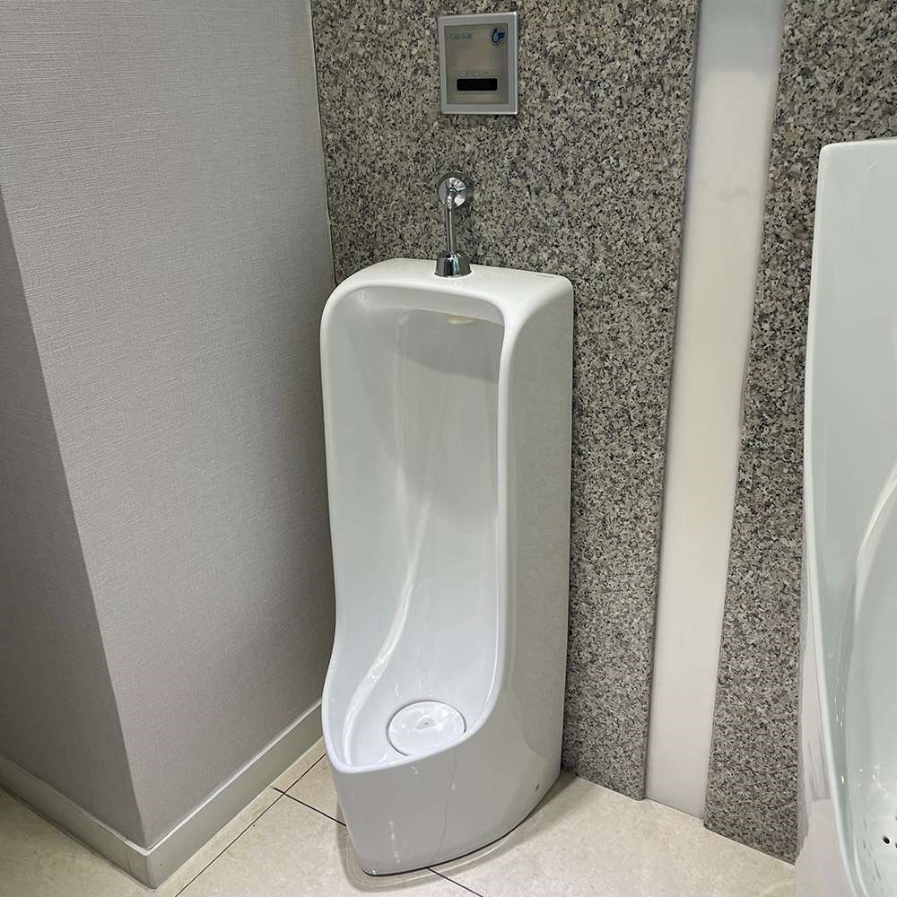 Bồn tiểu đặt sàn sở hữu thiết kế hiện đại, sang trọng