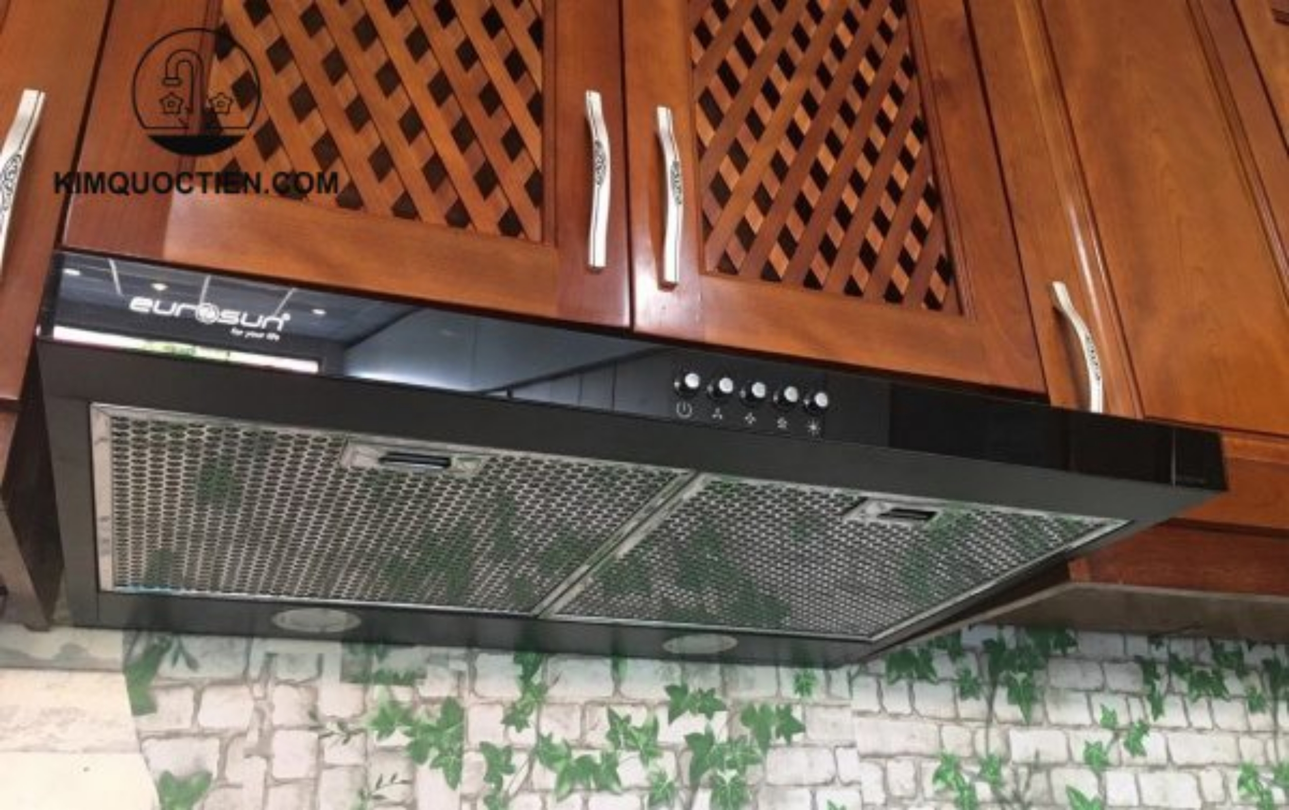 Máy hút mùi Eurosun EH-60CF19B hút khỏe, vận hành êm