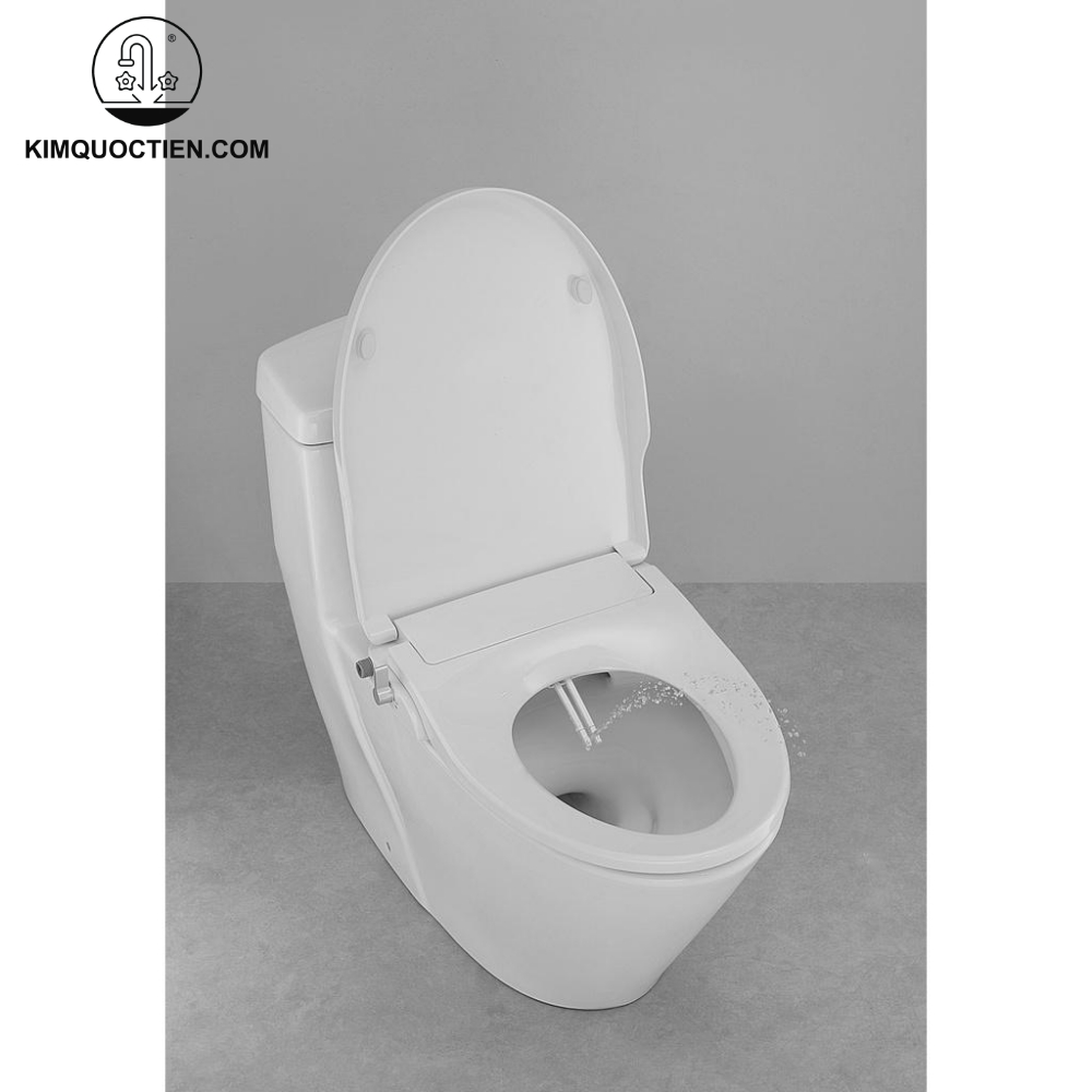 Nắp bồn cầu rửa cơ