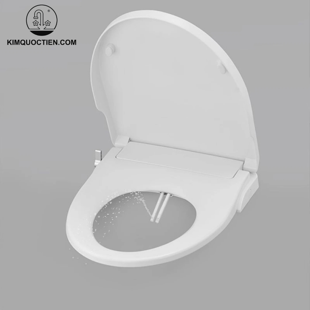 Nắp bồn cầu rửa cơ
