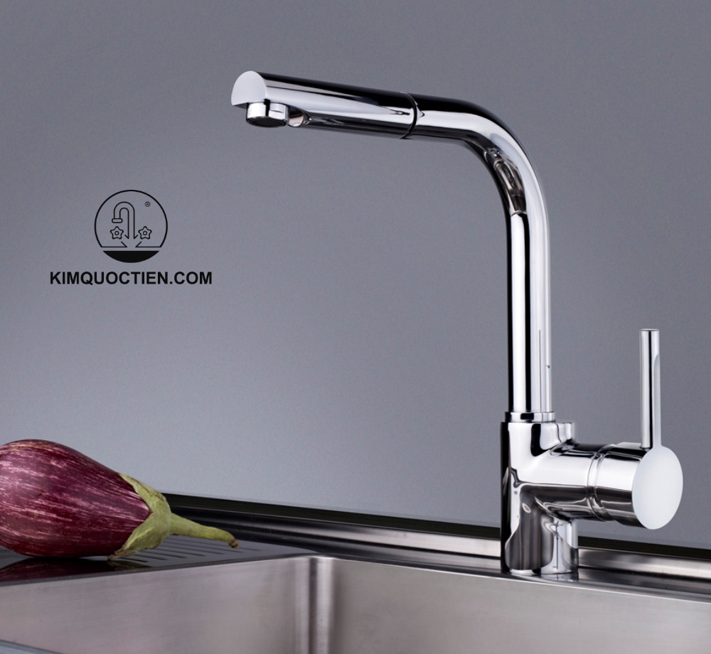 Vòi Rửa Chén Teka