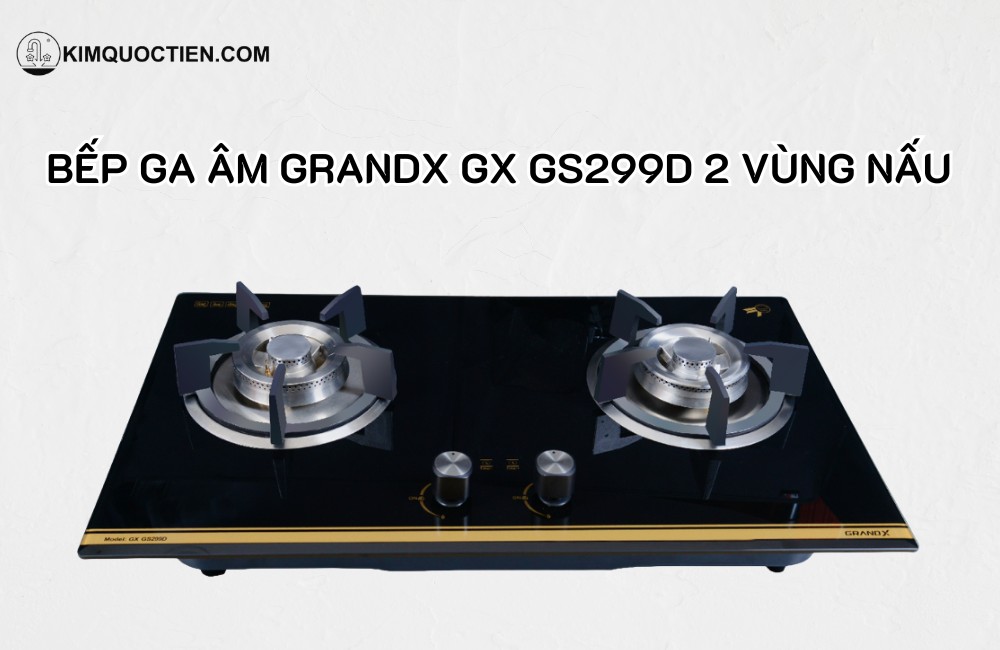 Bếp ga GRANDX