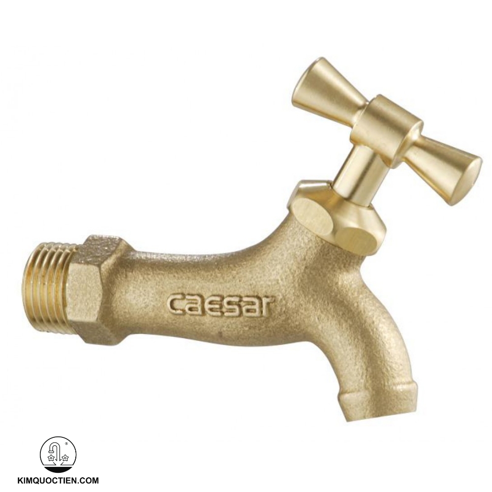 Vòi lạnh gắn tường CAESAR W034 phi 21 thân inox SUS304 sáng bóng