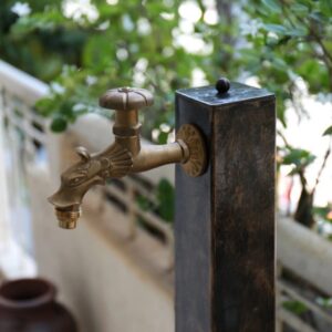 Vòi nước lạnh Kanly GCT02R gắn tường hình đầu rồng