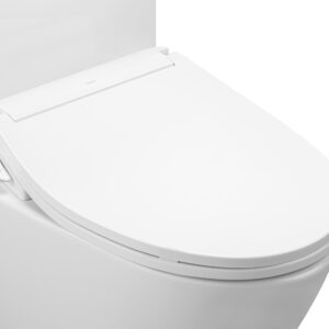 Nắp rửa cơ TOTO ECOWASHER TCW11S#W nắp E6