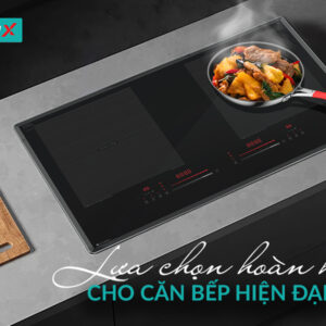 Bếp từ 2 vùng nấu GRANDX GX IH868XPro