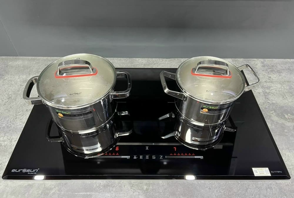 Bếp từ Eurosun