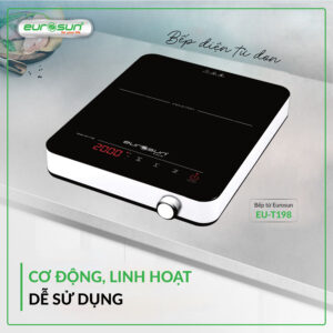 Bếp từ Eurosun EU-T197