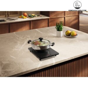 Bếp từ đơn Electrolux ETIS450RGA
